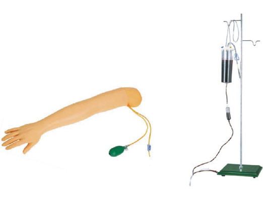 高級手臂動脈穿刺及肌肉注射訓(xùn)練模型