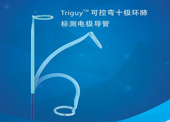 triguy? pv環狀可控標測導管